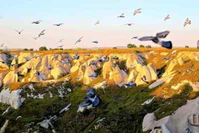 Cappadocia Hiking & Underground City Tour